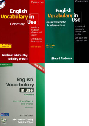 English Vocabulary in Use (2nd edition)