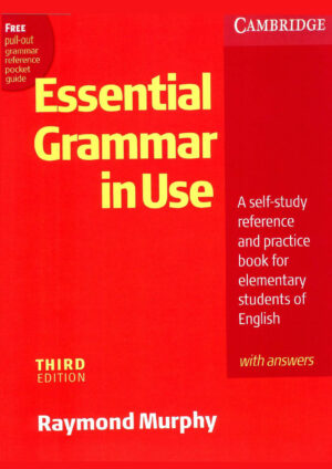 Essential Grammar in Use (3rd edition)